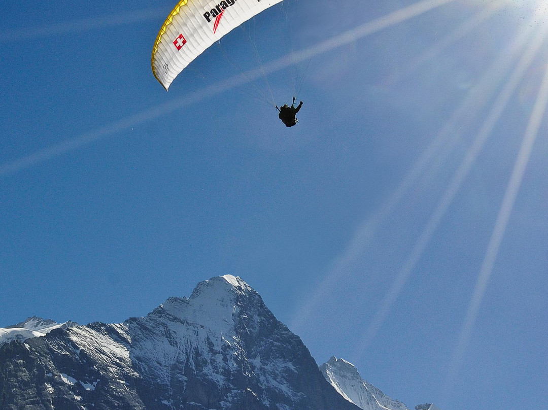 Paragliding Jungfrau景点图片