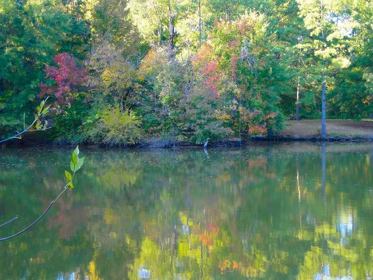 Ole Gilliam Mill Park景点图片