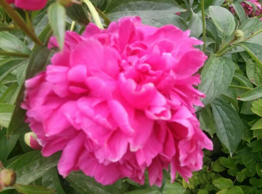 石家庄水上公园-藁城市必去景点