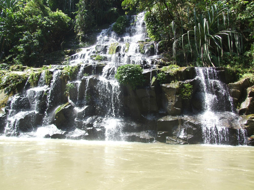 Sumatra Jungle Tours-武吉拉旺必去景点