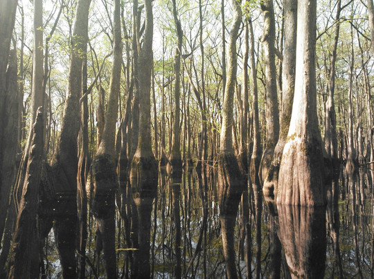 Backwater Expeditions-Rincon必去景点