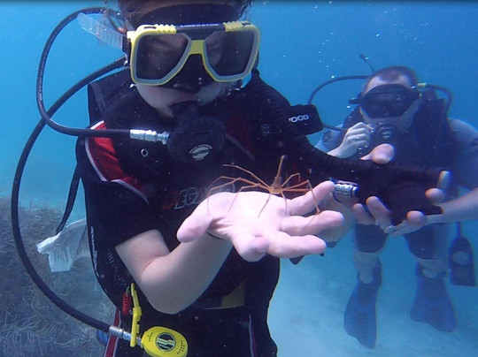 Diver's Request-奥腊涅斯塔德必去景点