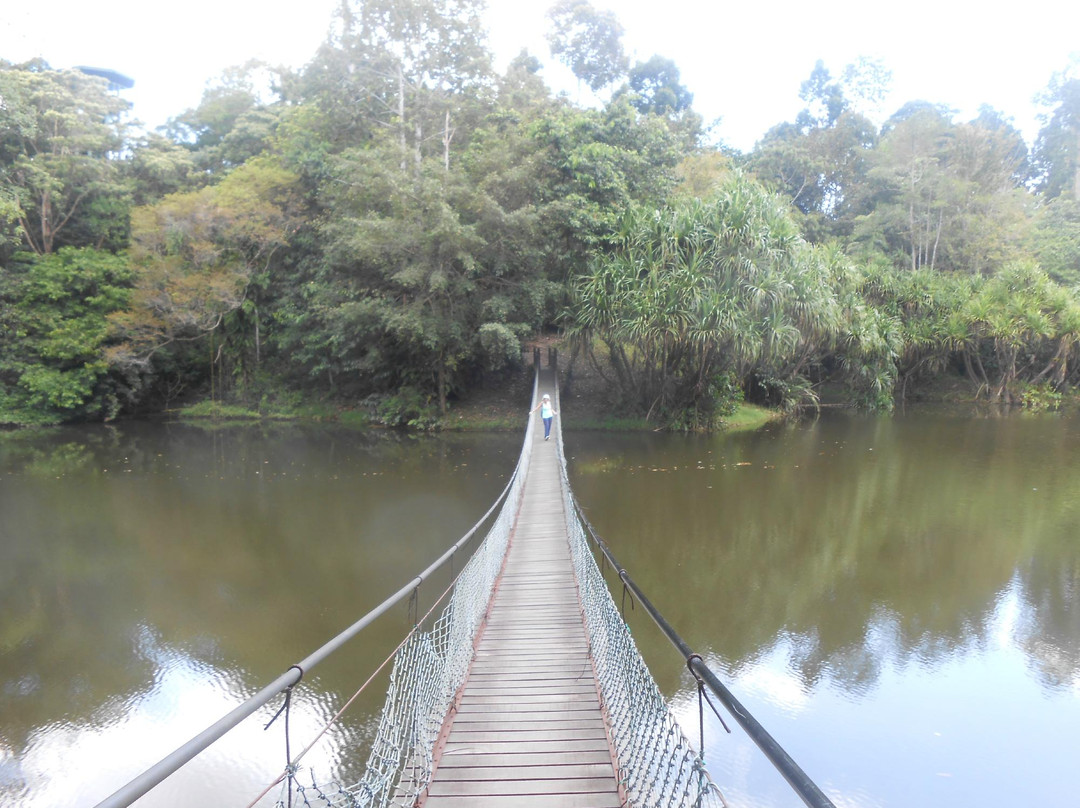 Sandakan Rainforest Discovery Centre (RDC)-山打根必去景点