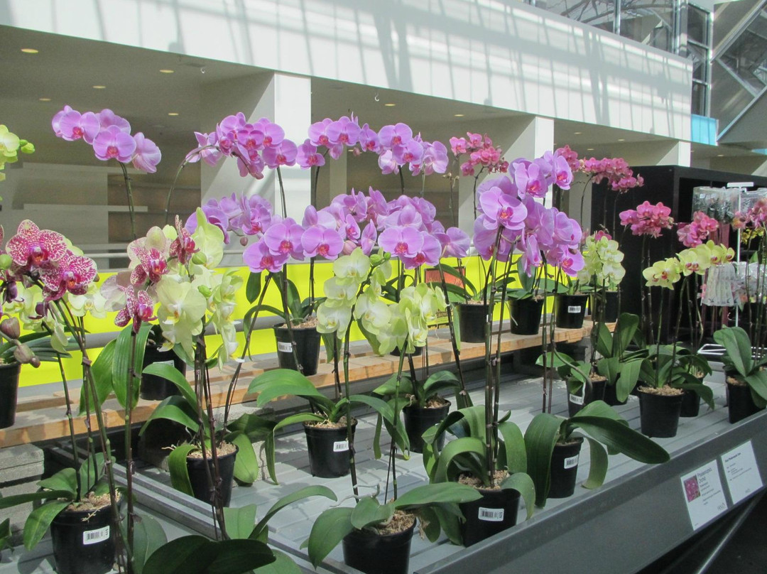 The Enjoy Centre-圣艾伯特必去景点