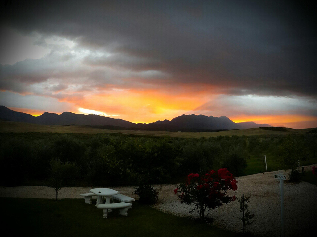 Marbrin Olive Farm-Robertson必去景点