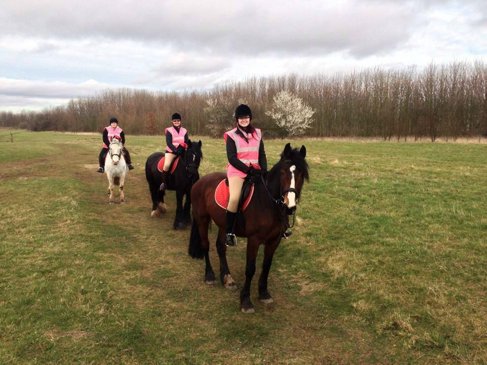 Derbyshire Pony Trekking-Mansfield必去景点