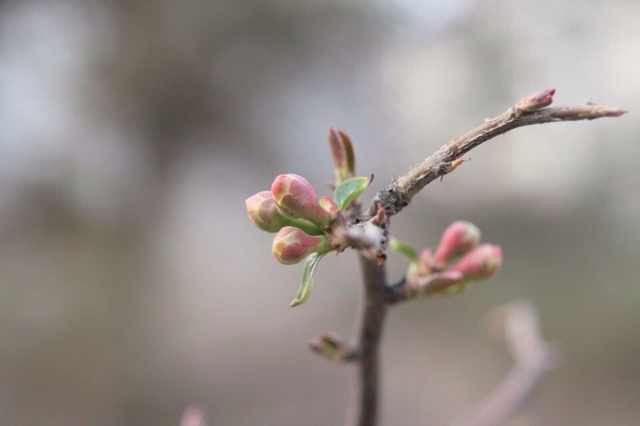 石家庄水上公园-藁城市必去景点