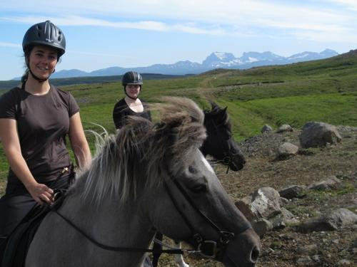 Stori-Bakki Riding Tours-埃伊尔斯塔济必去景点