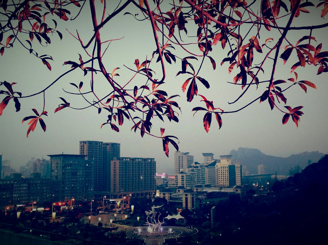 温岭东辉公园-温岭市必去景点