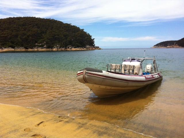 Kraken Tours-福斯特必去景点