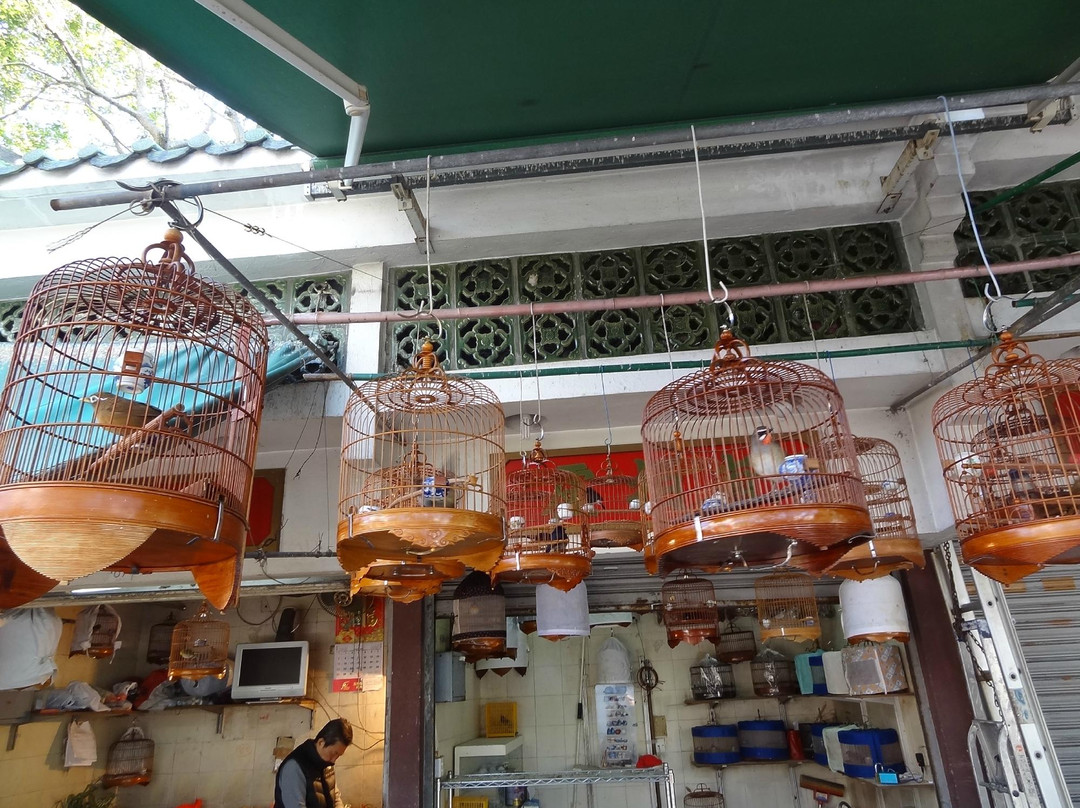鸟市-香港必去景点