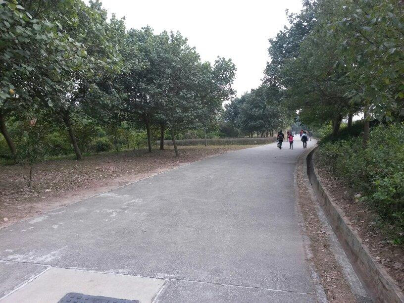香港湿地公园-香港必去景点