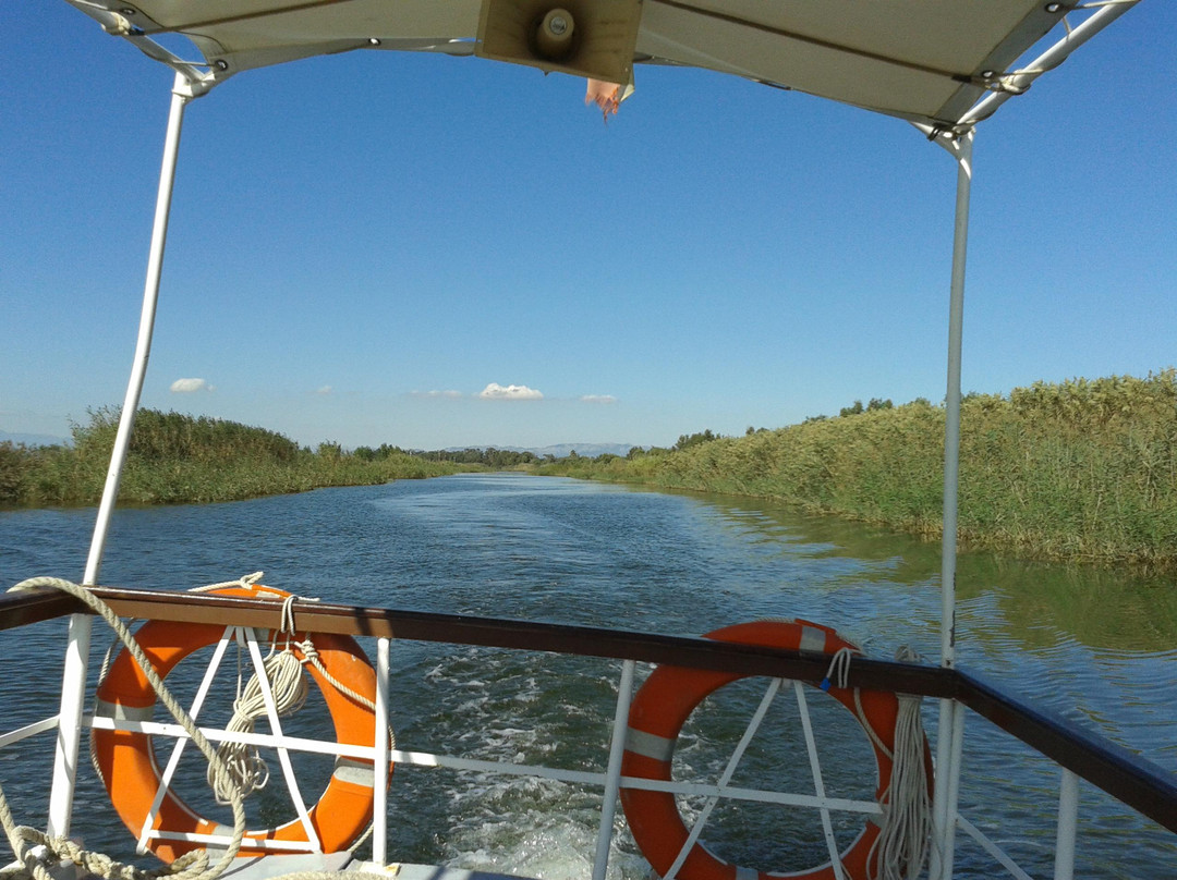 Parc Natural del Delta de l'Ebre-加泰罗尼亚必去景点