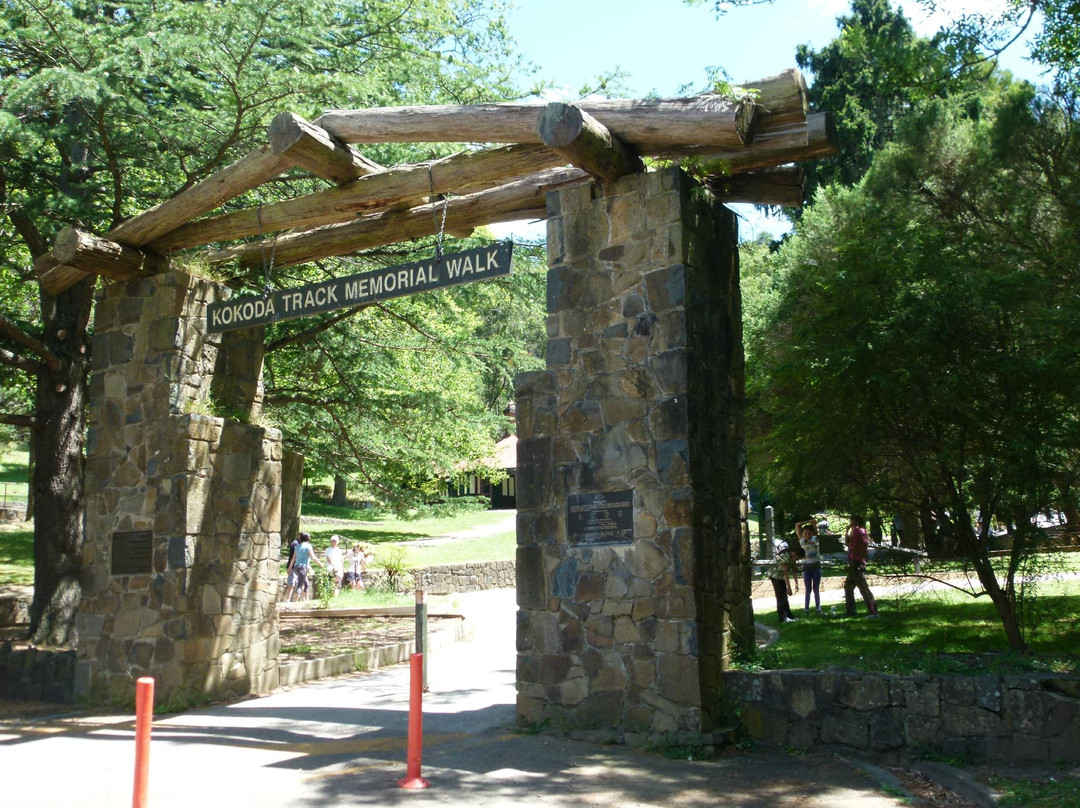 Tree Fern Gully Track-墨尔本必去景点