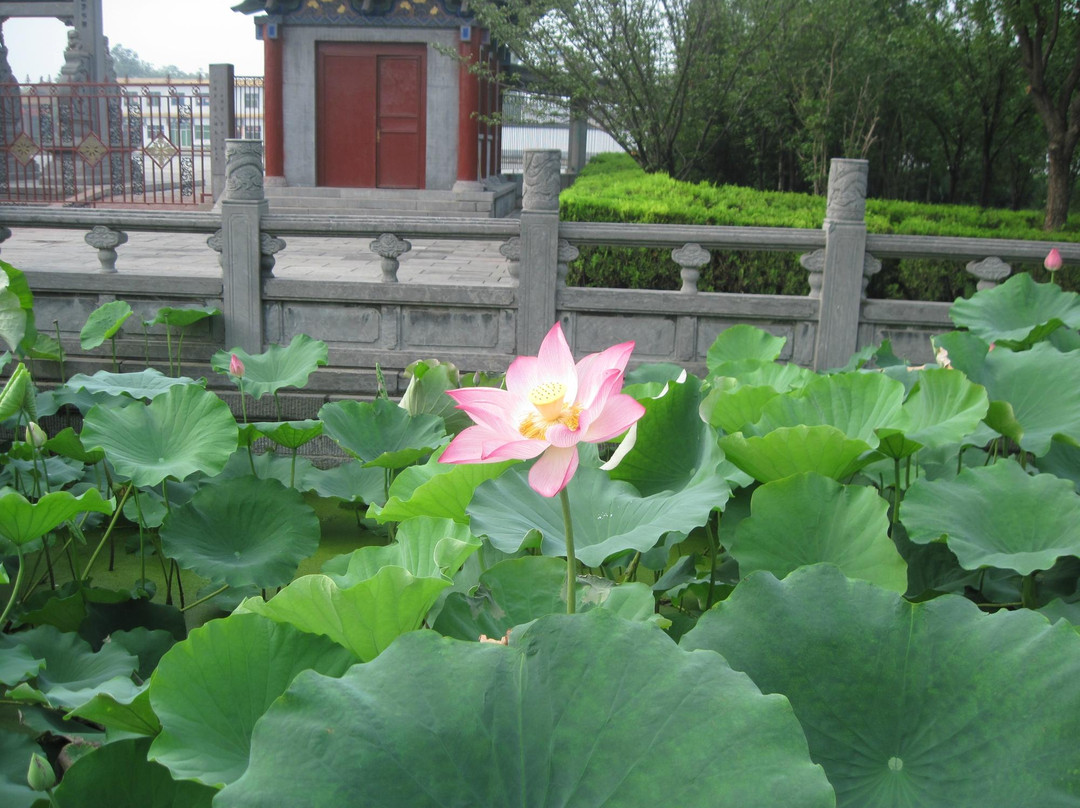 白马寺-洛阳市必去景点