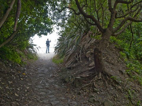奥豪溪畔漫步之旅-Kaikoura必去景点