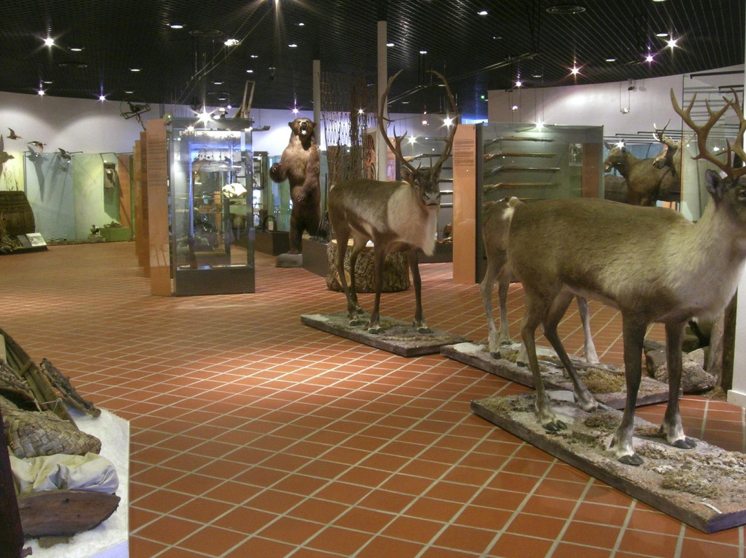 Hunting Museum of Finland-Riihimaki必去景点