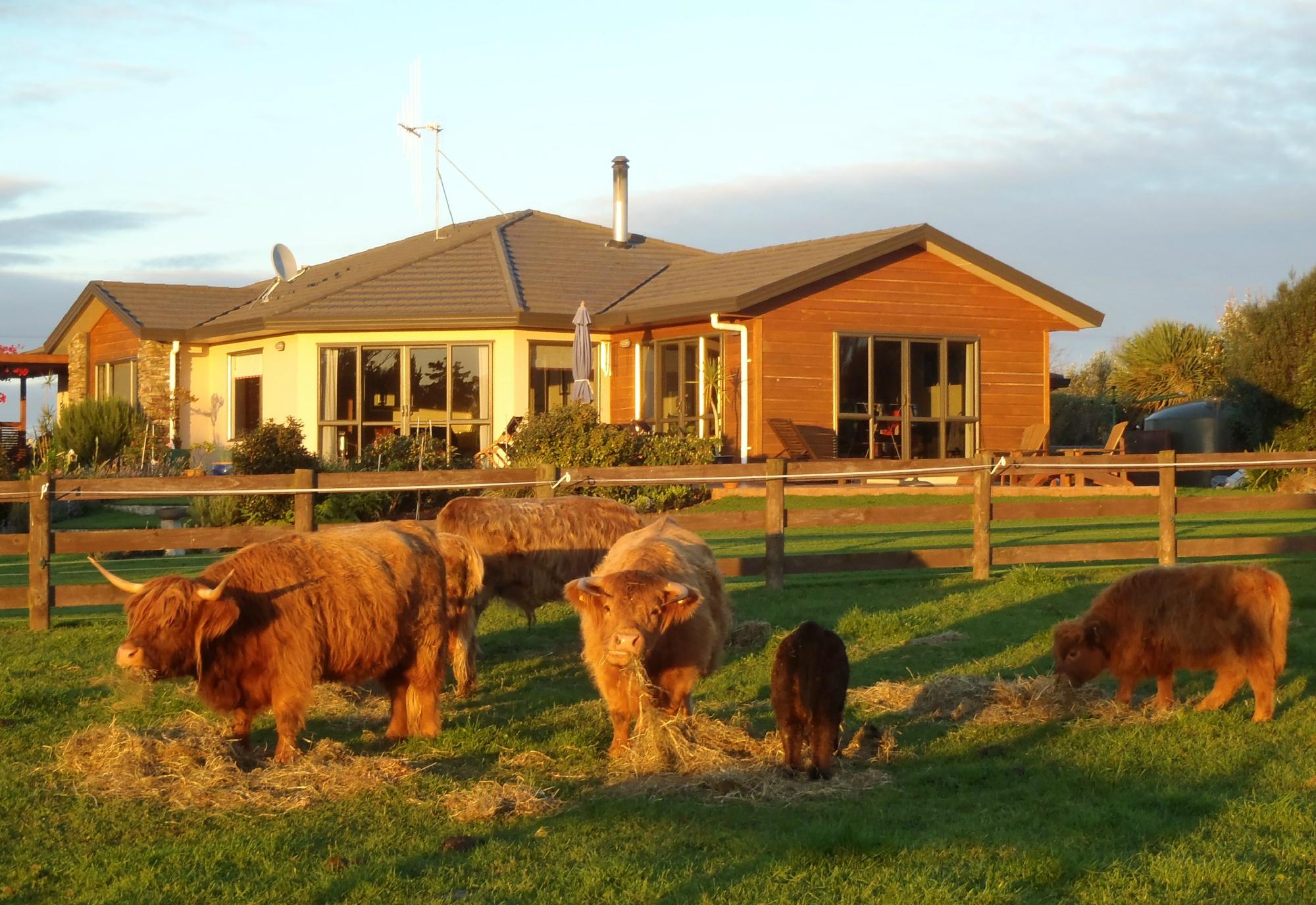 Ohau Highland Bed and Breakfast-官方