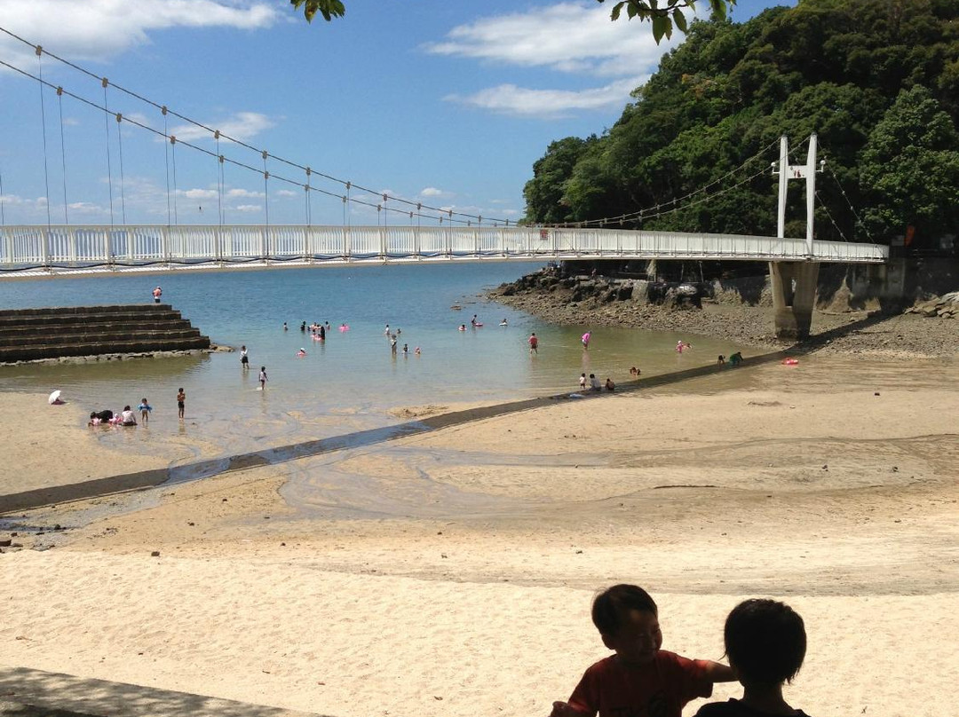 Cherry Blossom Trees along Yunoko Beach Road-水俣市必去景点