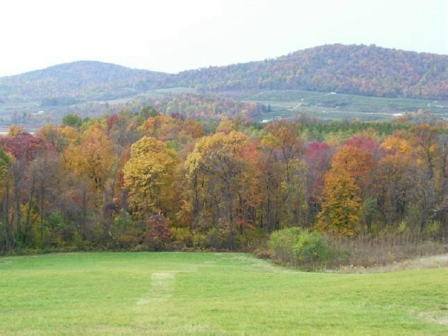 Gettysburg Suites主图