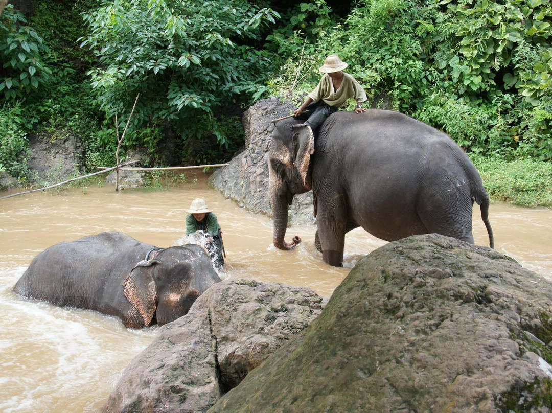 Green Hill Valley Elephant Camp- Day Tours-格劳必去景点