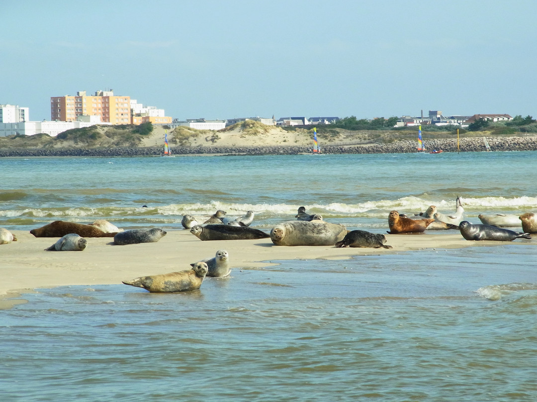 Club Nautique Berckois景点图片