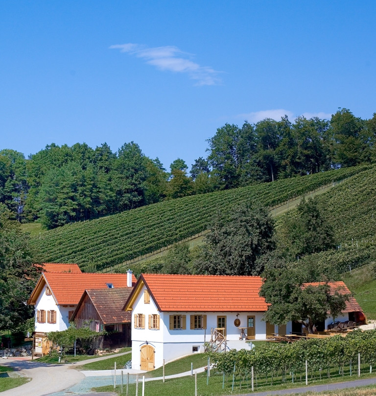 Gasthof Kirchenwirt Mirth主图