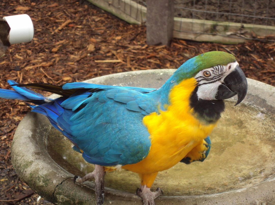 Heaven's Corner Zoo & Animal Sanctuary-West Alexandria必去景点