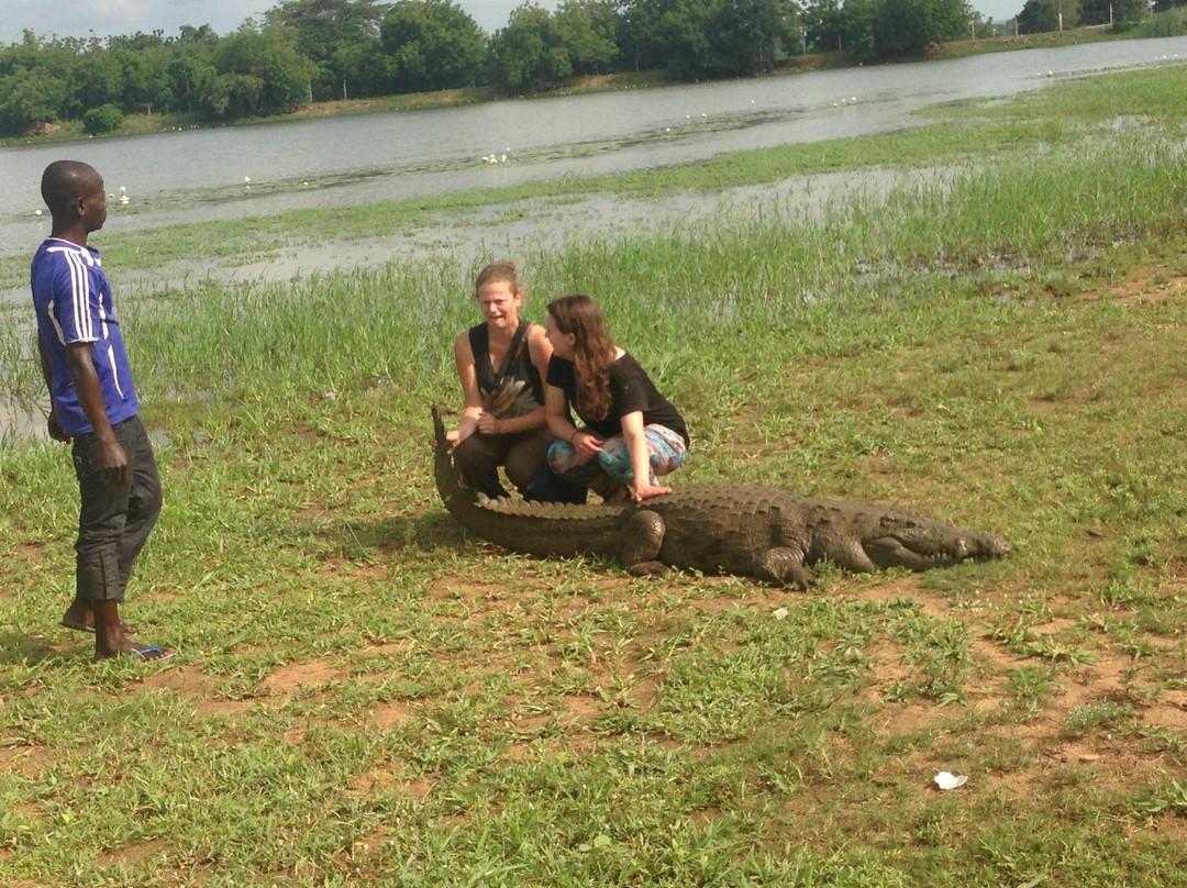 Sacred Crocodile Ponds-Paga必去景点