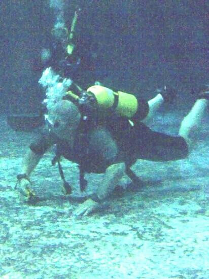 Orca Scuba Diving Academy景点图片