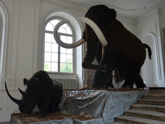 Japanisches Palais-德累斯顿必去景点