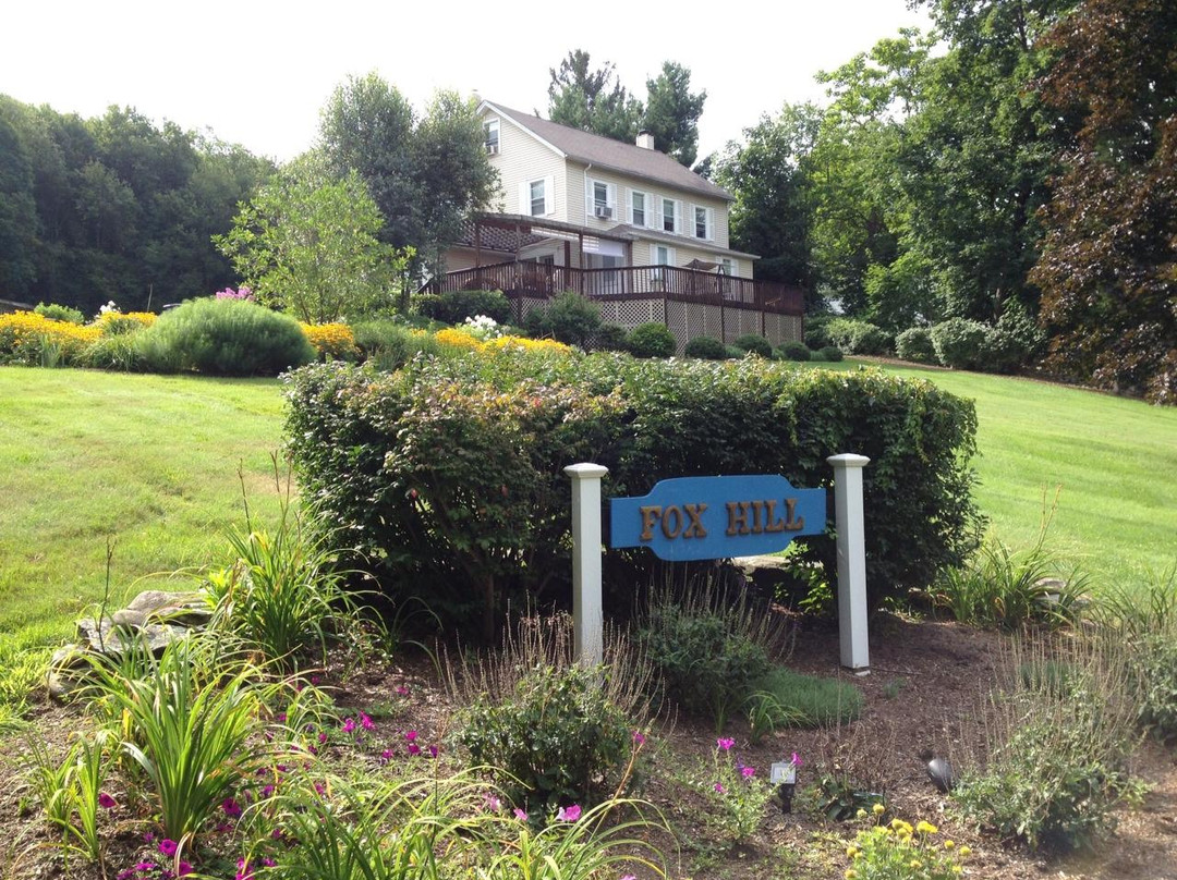 Highland酒店住宿-Fox Hill Bed & Breakfast