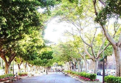 Rambla de Santa Cruz景点图片