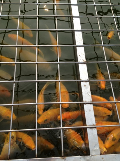 万平口海滨广场-日照市必去景点