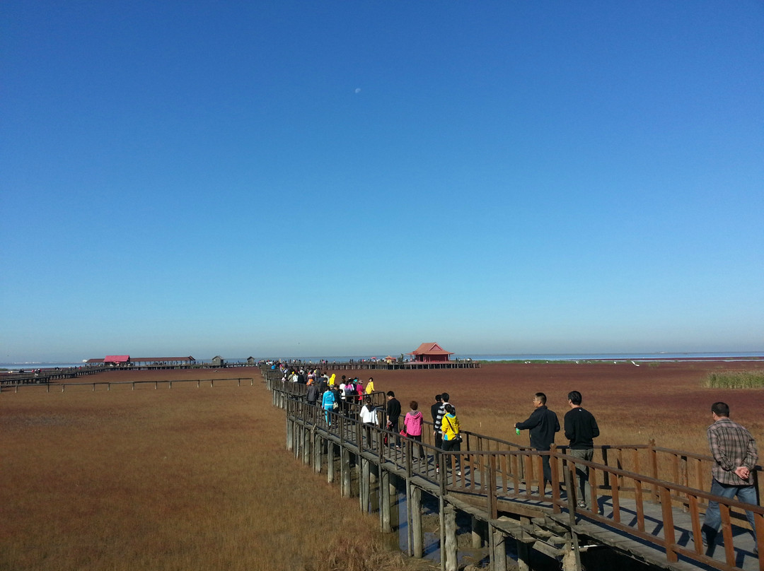 红海滩风景区-大洼县必去景点