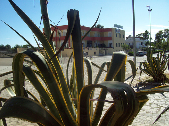 Hotel Nuova Grottella主图