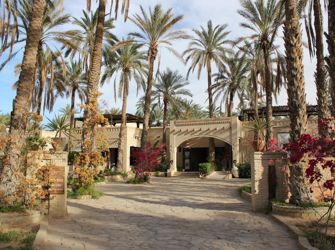 Eden Palm Tresors de l'Oasis-吐泽尔必去景点