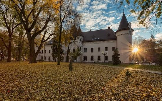 Karolyi Castle景点图片
