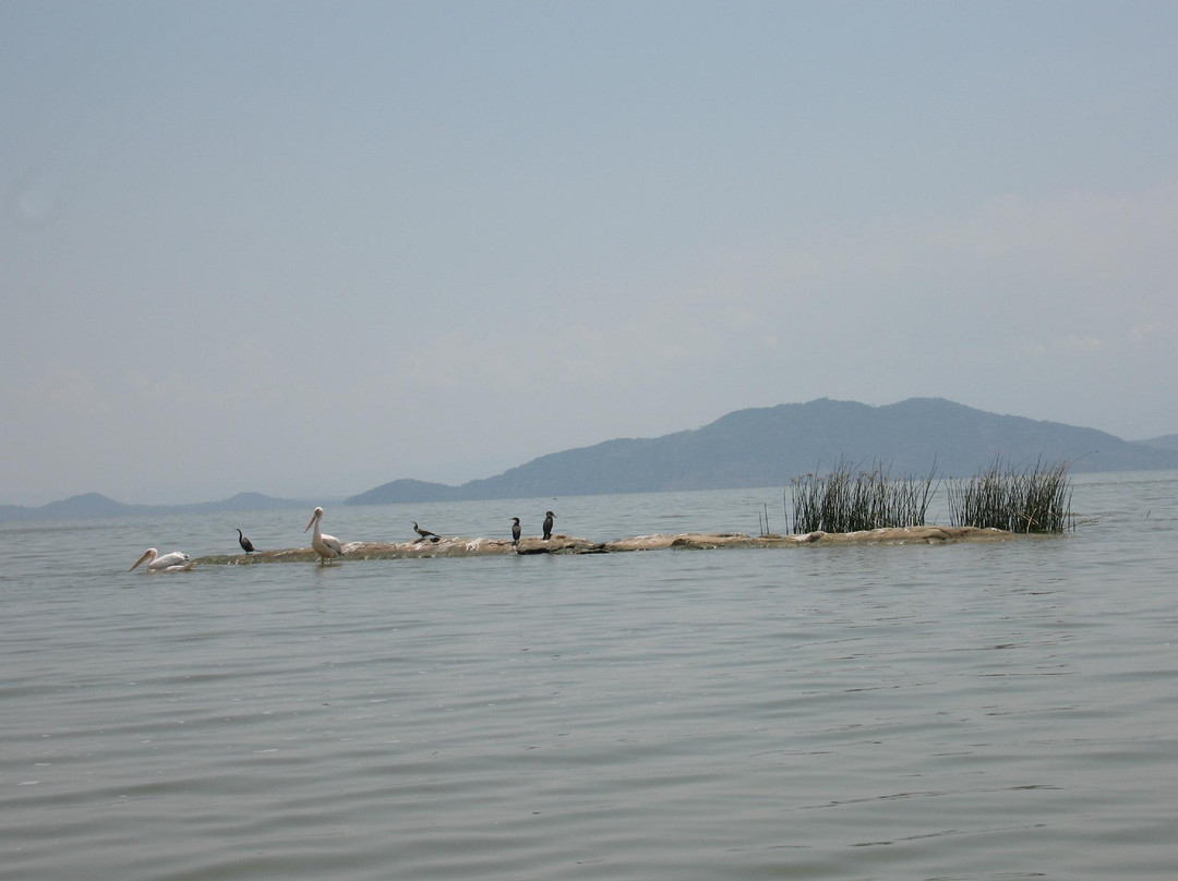 Lake Ziway景点图片