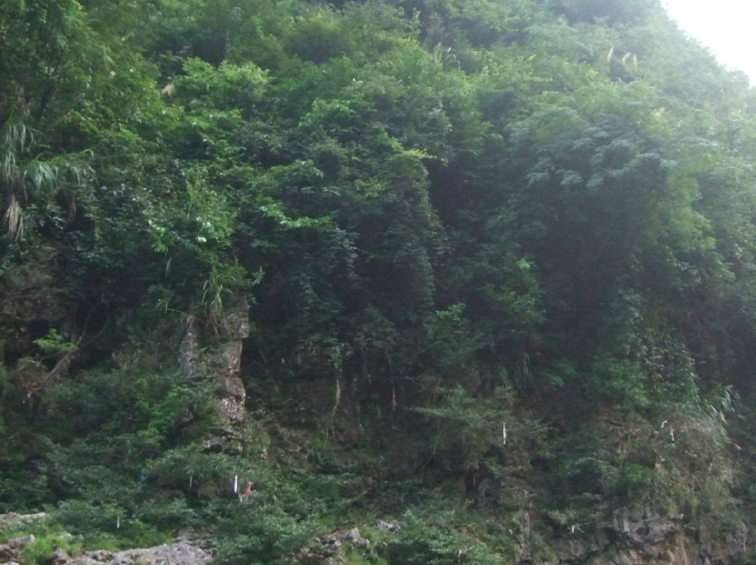 小河砾石滩-张家界市必去景点