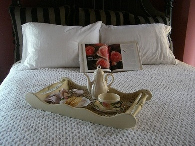 Blue Fern Bed and Breakfast主图