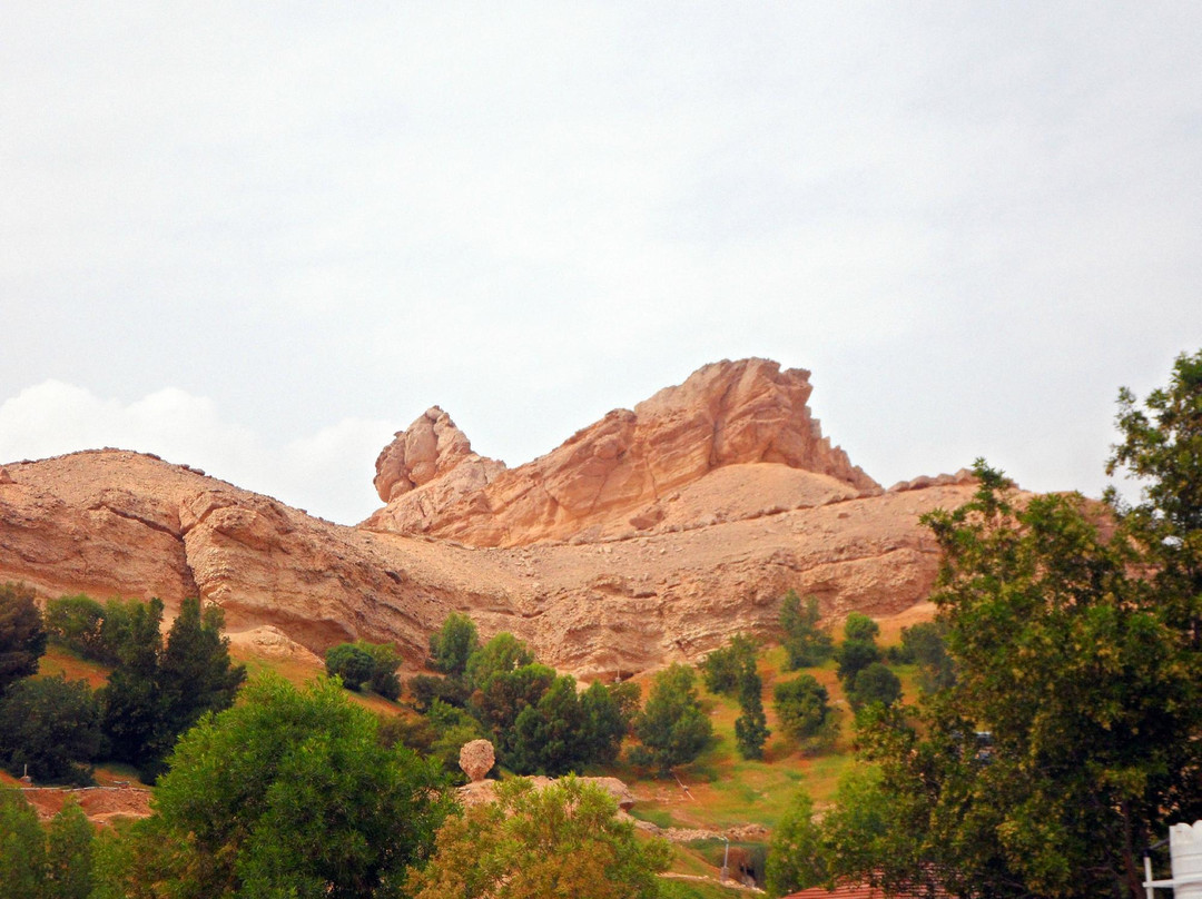 穆巴札拉公园-艾因市必去景点