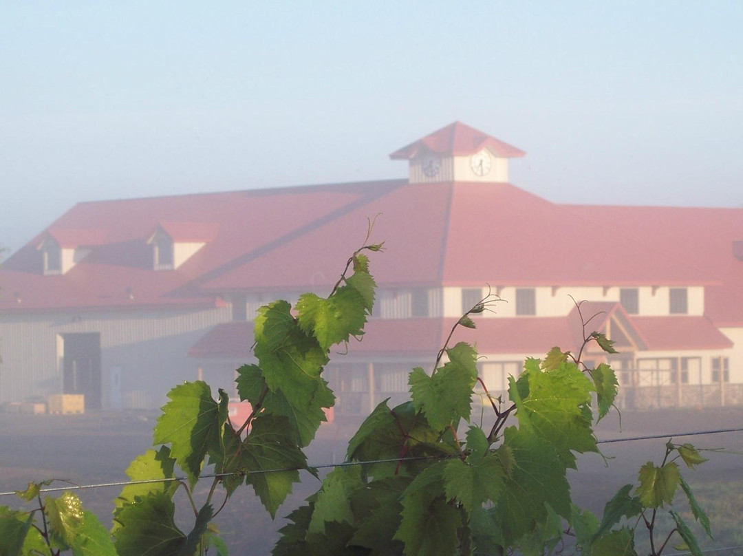 Millner Heritage Vineyard & Winery景点图片