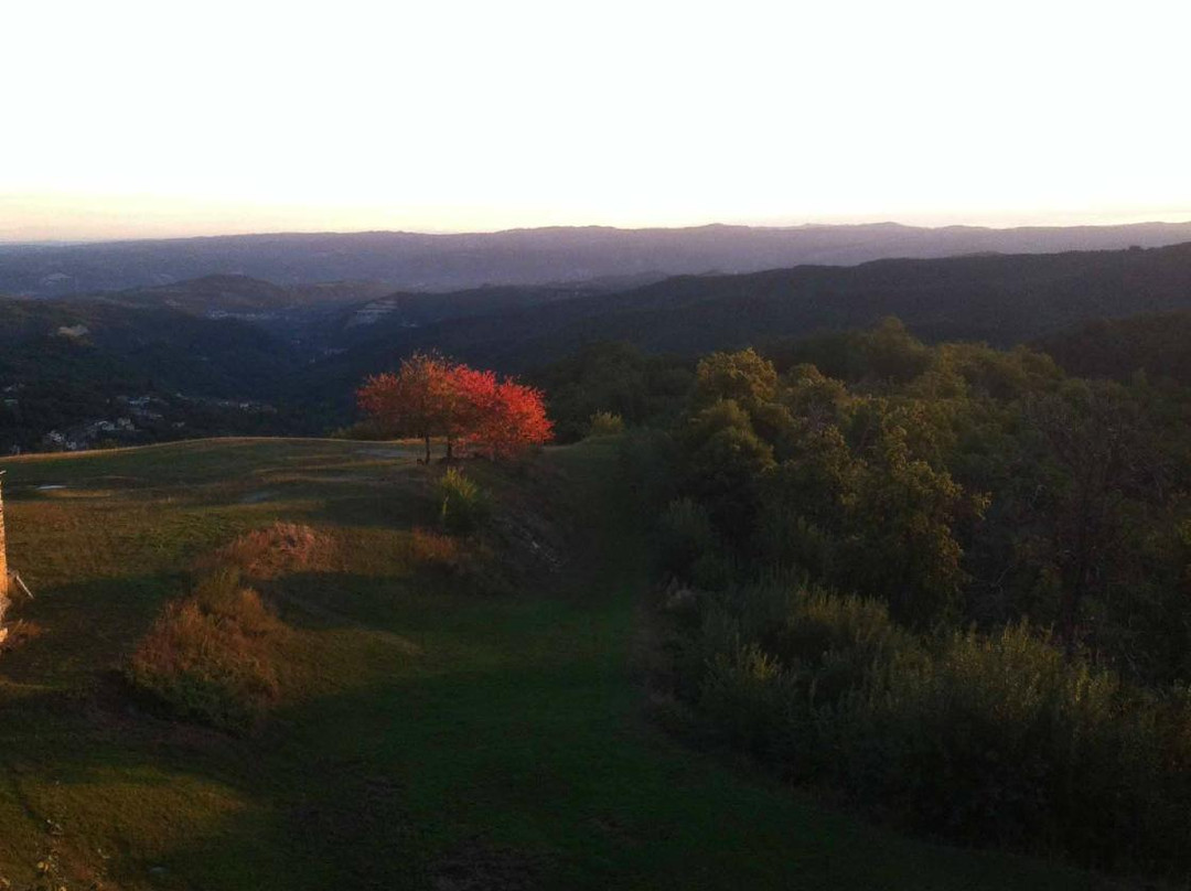 Montaldo di Mondovi旅游攻略图片