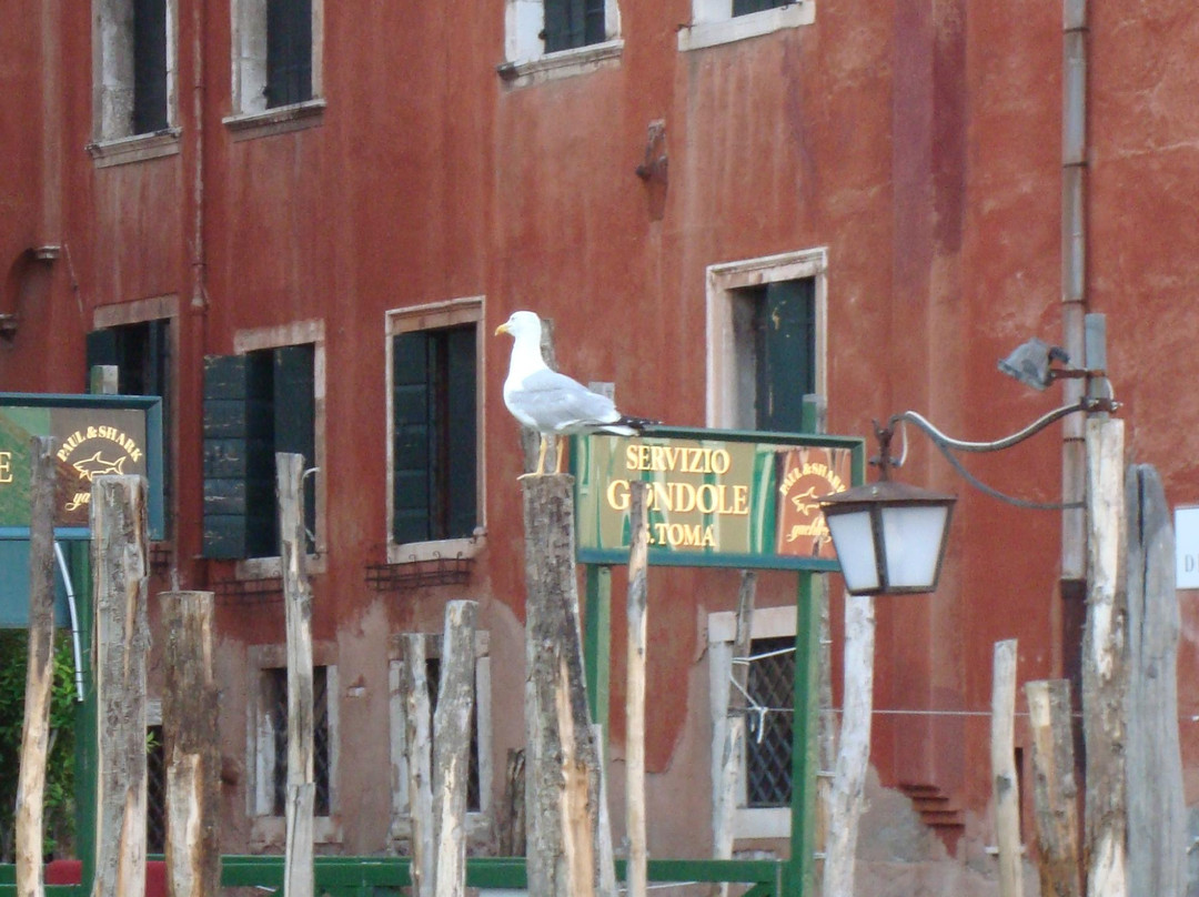 Venice 2000-威尼斯必去景点