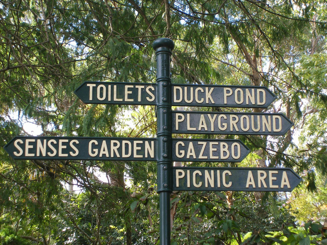 E G Waterhouse National Camellia Gardens-萨瑟兰郡必去景点