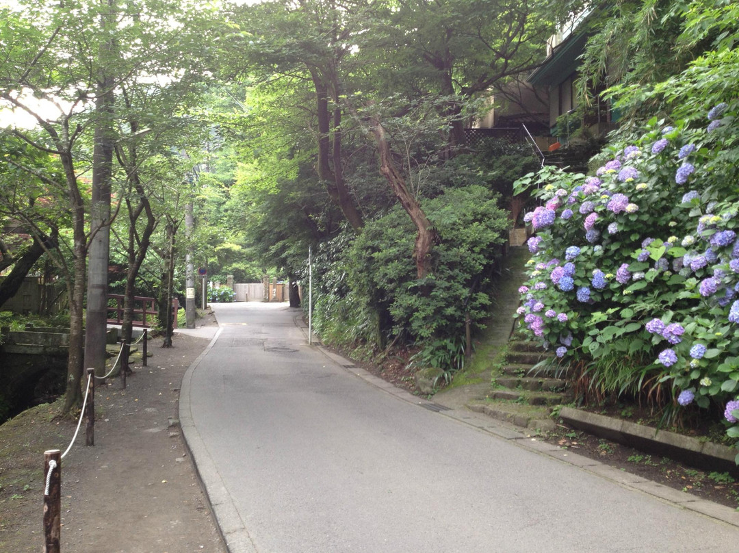 明月寺（紫阳花寺）-镰仓市必去景点