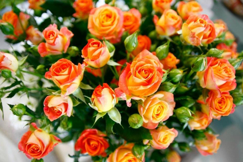 Bouquet Boutique -Fleuriste--San Daniele del Friuli必去景点