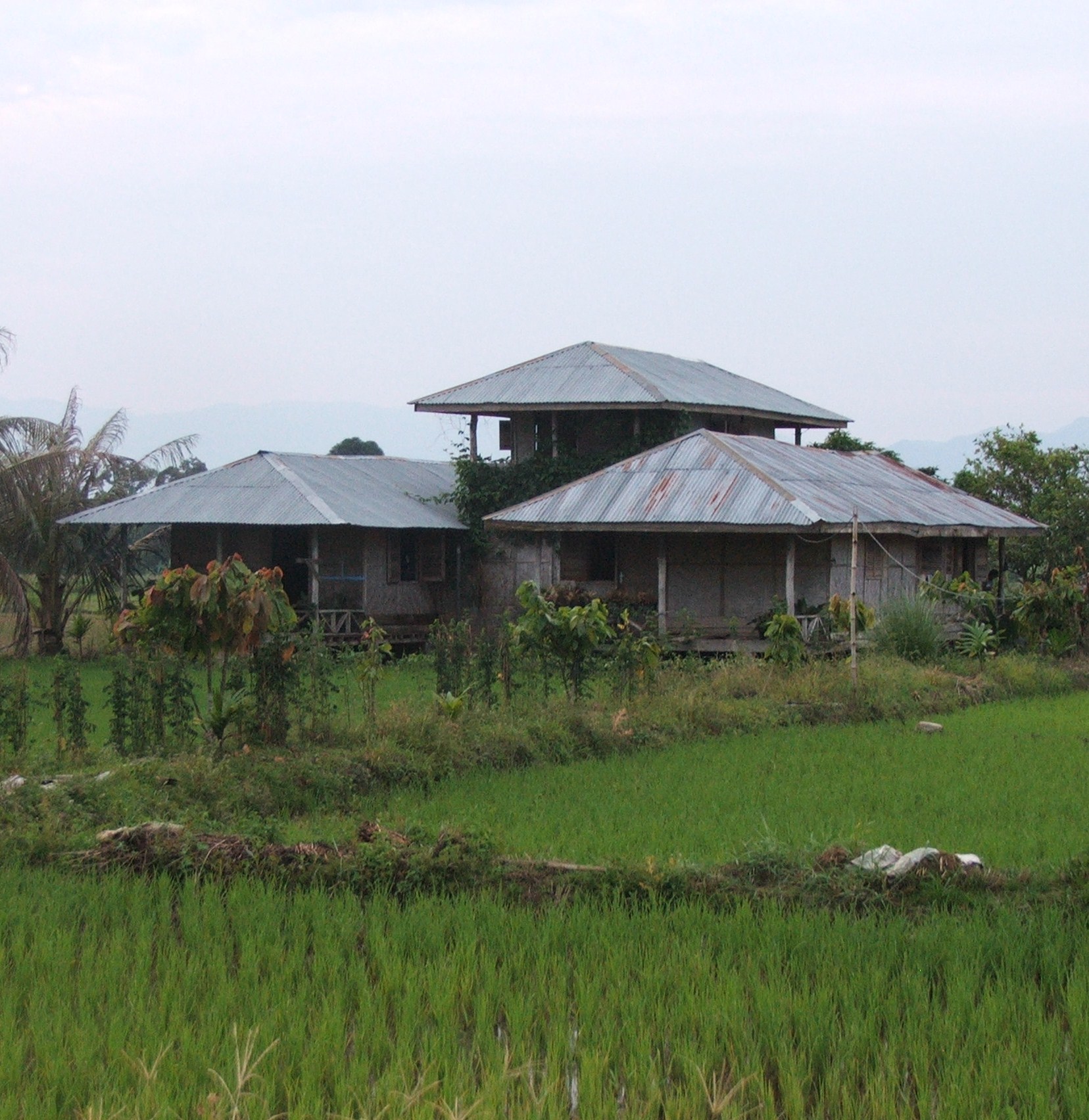 Wanda's Homestay-官方