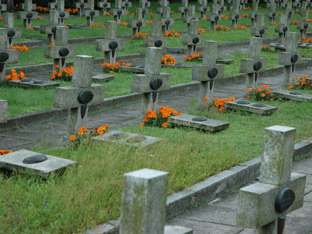 Cmentarz Centralny景点图片